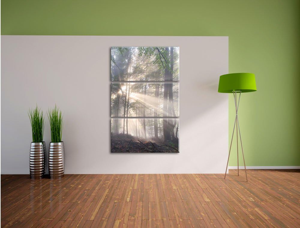 Pixxprint diesiger Waldweg als Leinwandbild/Grösse: 3 Teilig (120x80) cm/Wandbild/Kunstdruck/fertig