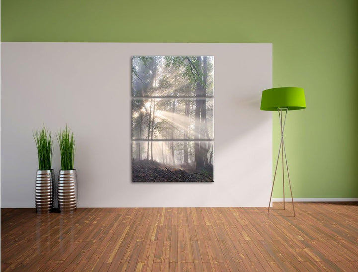 Pixxprint diesiger Waldweg als Leinwandbild/Grösse: 3 Teilig (120x80) cm/Wandbild/Kunstdruck/fertig