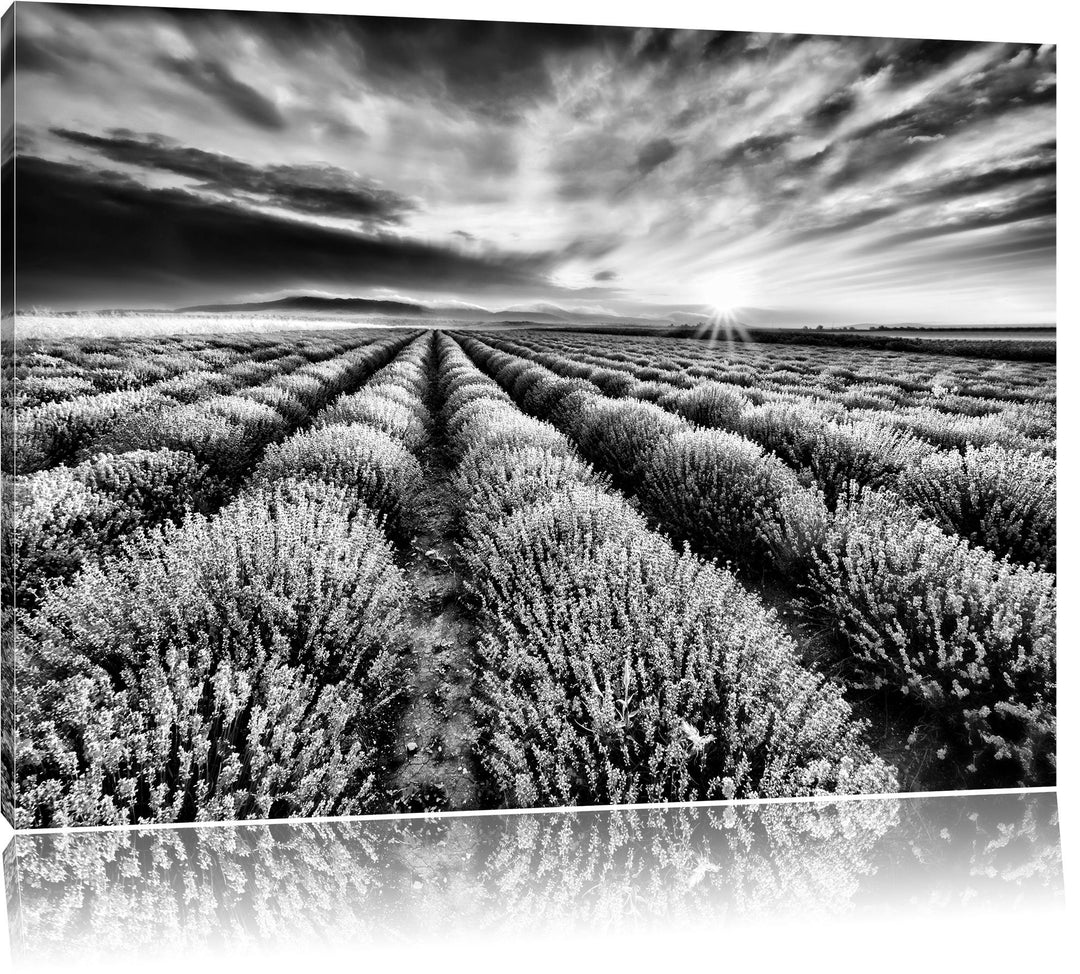 Pixxprint Traumhafte Lavendel Provence / 100x70cm Leinwandbild bespannt auf Holzrahmen/Wandbild Kuns