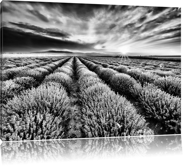 Pixxprint Traumhafte Lavendel Provence / 100x70cm Leinwandbild bespannt auf Holzrahmen/Wandbild Kuns