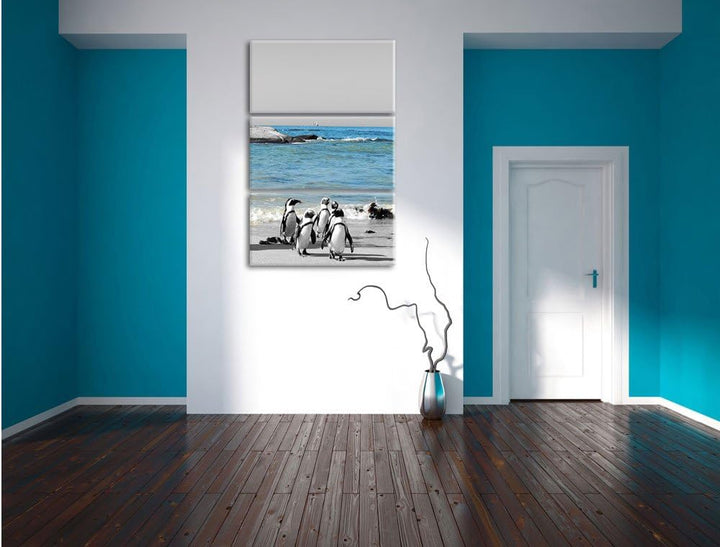 lustige Pinguine am Strand schwarz/weiss 3-Teiler Leinwandbild 120x80 Bild auf Leinwand