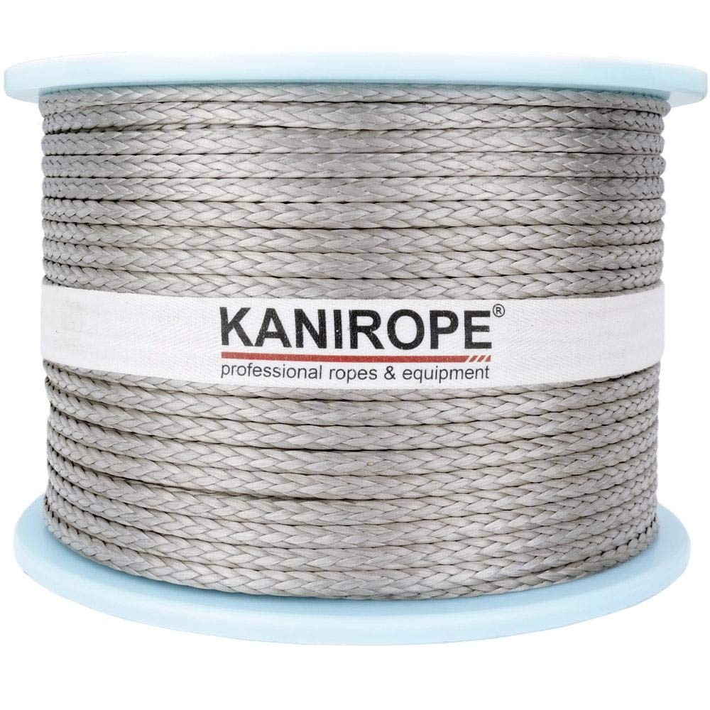 Kanirope® Dyneema Seil PRO 4mm 100m Silber 12-fach geflochten SK78 verstreckt beschichtet, 100m Silb