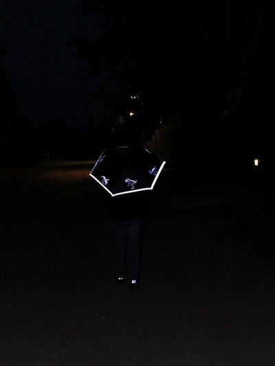 Knirps 4Kids Kinder-Taschenschirm reflective mit Reflexborte und reflektierenden Dinos - Big reflekt
