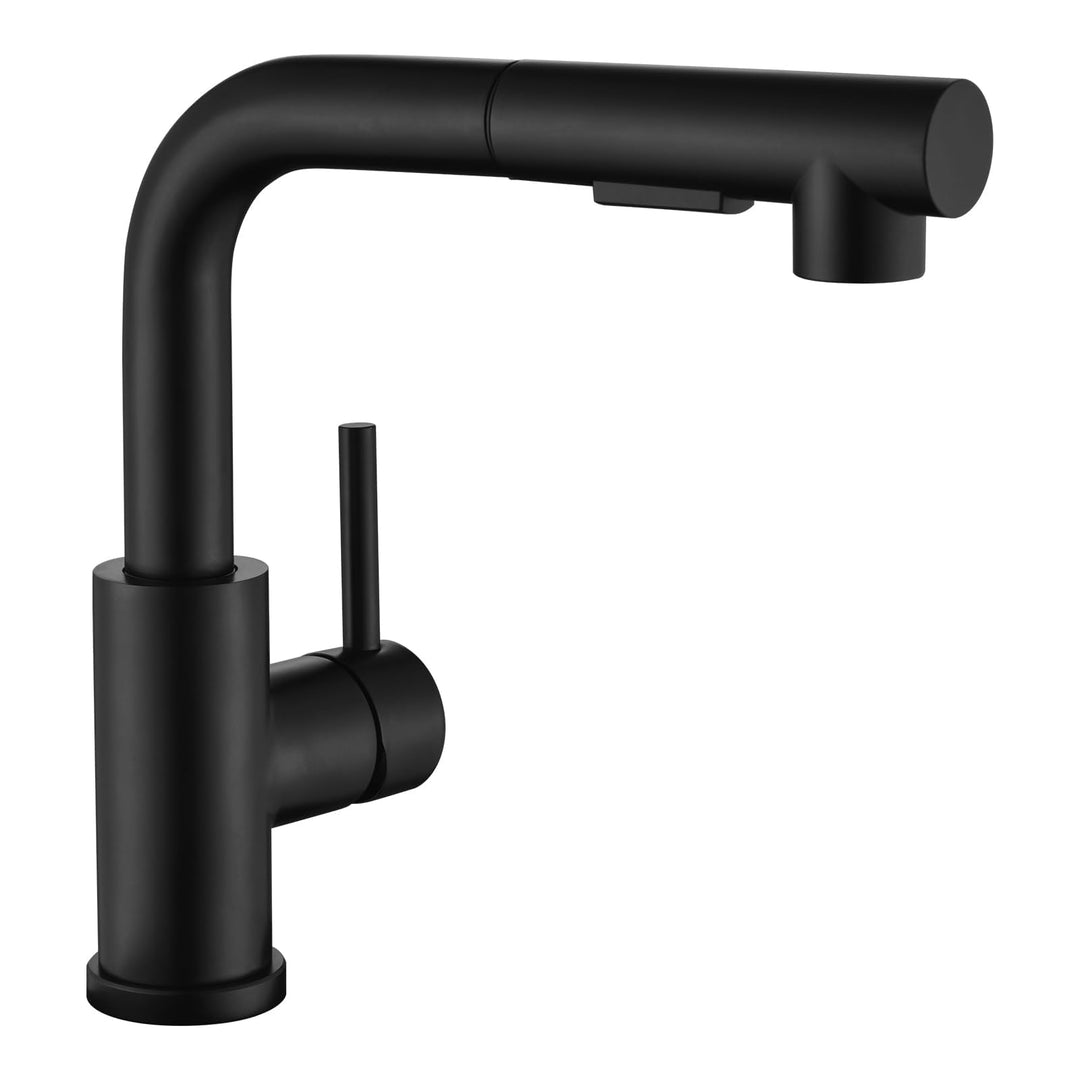 APPASO Wasserhahn Küche, Küchenarmatur mit Brause Ausziehbar für die Küche, Einhebel Ausziehbarer Sp
