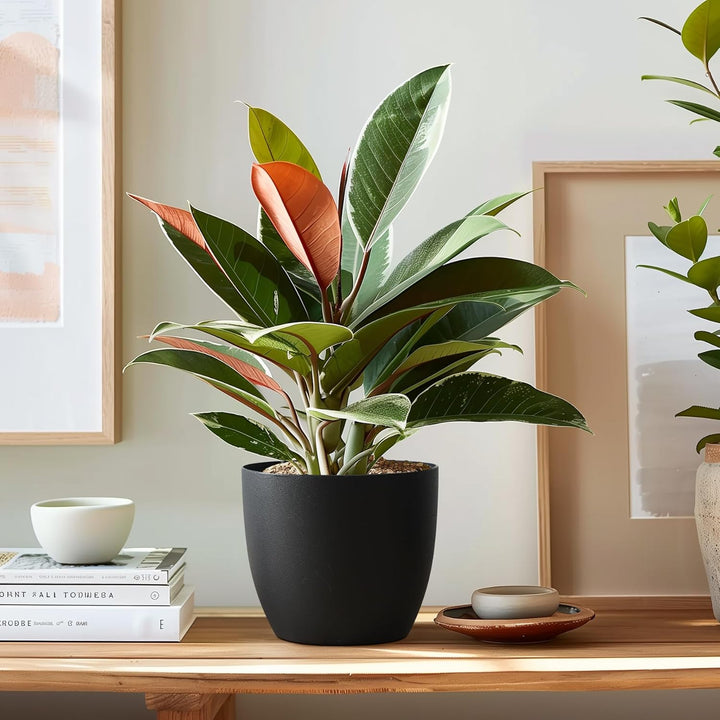 T4U 18cm Selbstwässernder Blumentopf mit Wasseranzeiger Schwarz 4er-Set, Selbstbewässerung Wasserspe