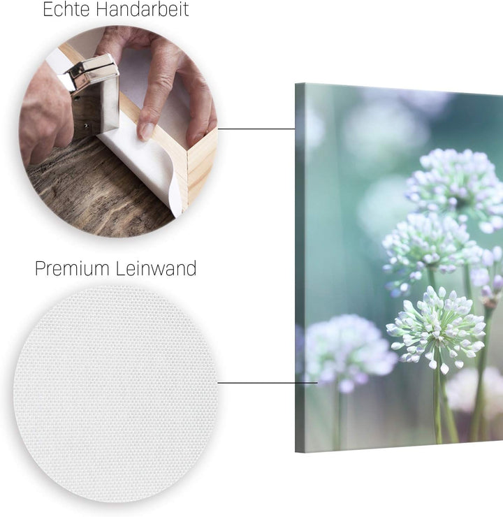 ge Bildet Bild auf Leinwand | Flowering Onion in 70x50 cm als Wandbild | Wand-deko Dekoration Wohnun