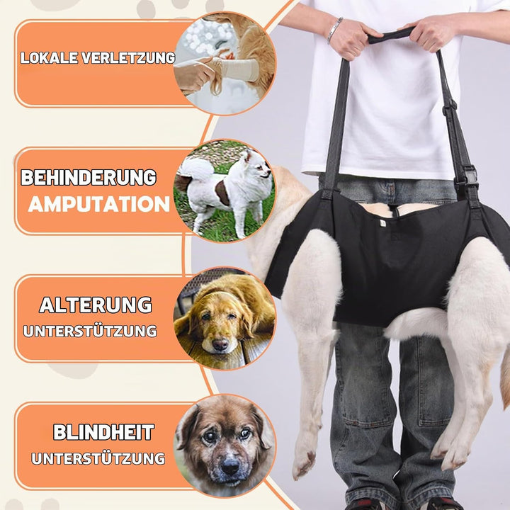 Hunde Tragehilfe, Tragehilfe Hund Treppe Verstellbare Gehhilfe für Hundes, Hundeliftgeschirr für Hin