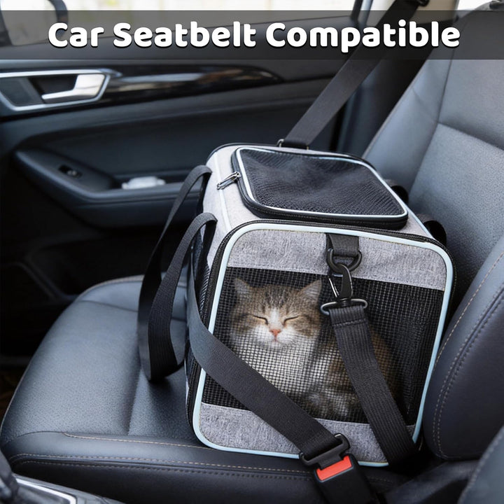 Transportbox Katze faltbar bis 7 kg mit 360° Belüftung Hundetasche | Hundetasche für Katzen kleine H