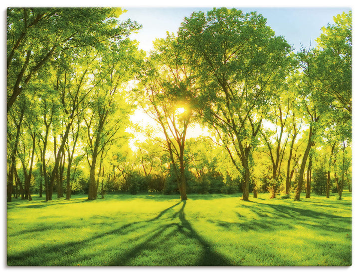 ARTland Leinwandbilder Wandbild Bild auf Leinwand 80x60 cm Natur Wald Sonne Landschaft Frühling Wies