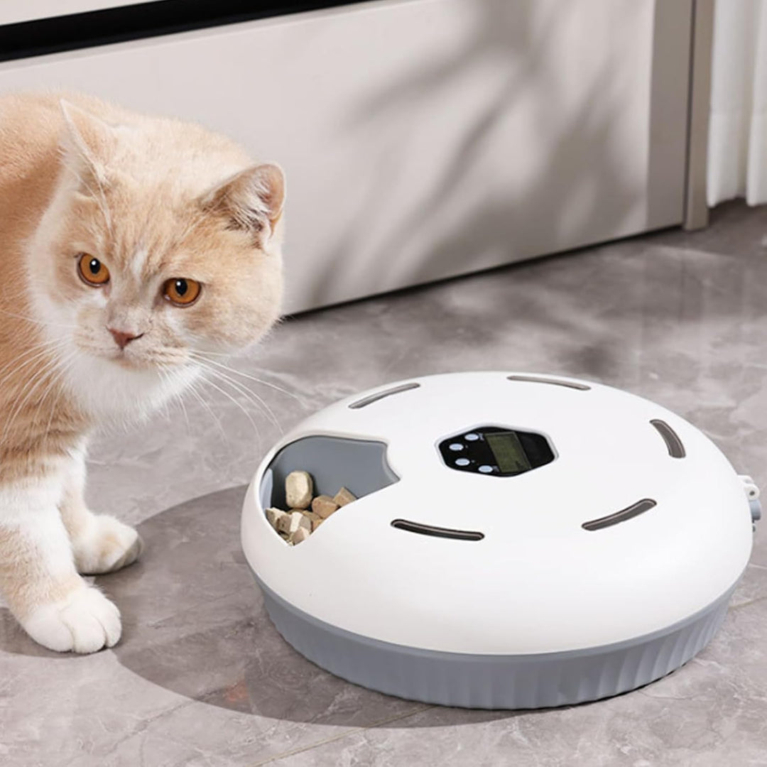 Futterautomat Katze Nassfutter mit Kühlung, 6 Mahlzeiten Programmierbar, Kabelloser Nassfutterautoma