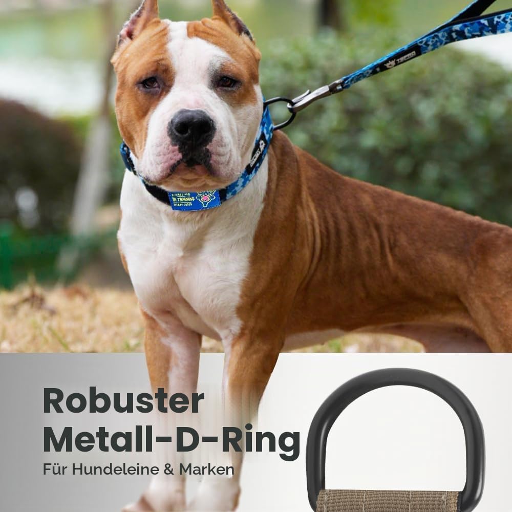 TSPRO Premium Hunde Halsband mit leuchtendem Patch - Dickes Halsband für Hunde, Verstellbar, mit rob