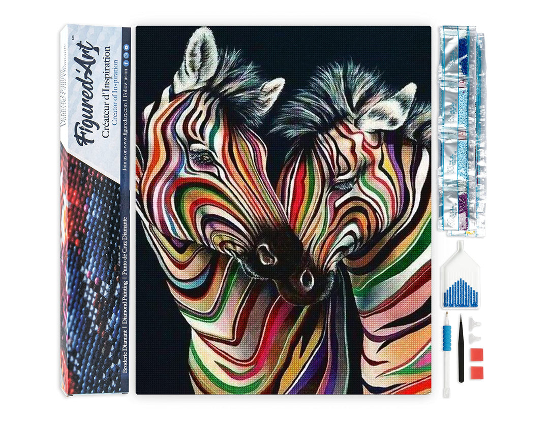 Figured'Art Diamond Painting Erwachsene 40x50cm Ganze Leinwand gerollt Buntes Zebrapaar 5D Bilder Ec
