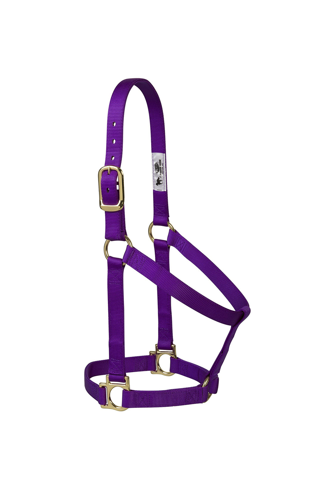 Weaver Leather 35–7404-TU Einfacher unverstellbarer Halfter, 25 mm für kleine Pferde, Türkis, 35-740