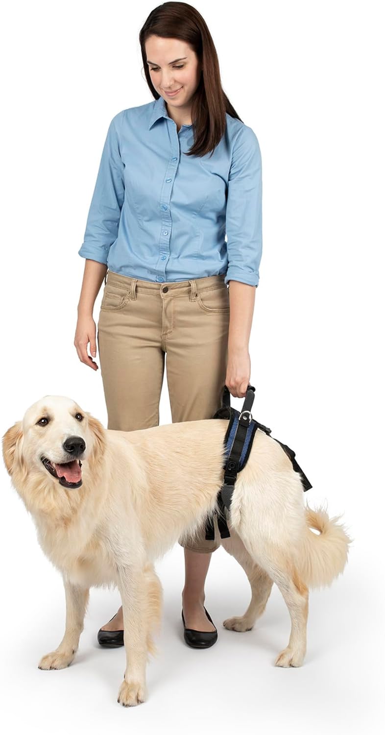 PetSafe CareLift Hüft-Hebegeschirr für Hunde, Hebehilfe mit Griff und Schultergurt zur Hüftunterstüt