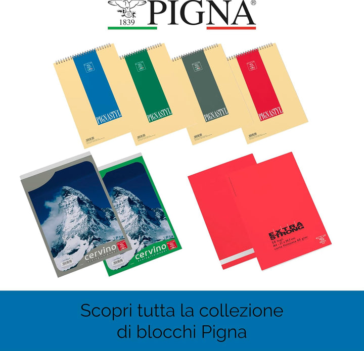 PIGNA 0514394rm Blöcke collati Legal