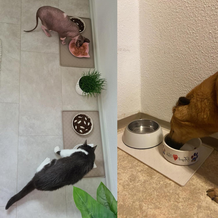 Napfunterlage für Hunde, Futtermatten für Hunde und Katzen rutschfeste Futtermatte aus Silikon - was