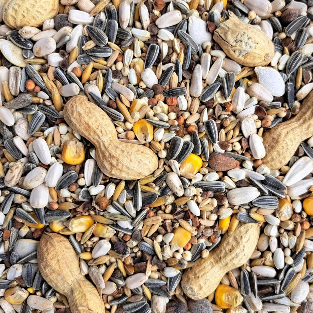 SUPRAVIT Papageienfutter 20 kg, Futtermischung für Papageien Aller Arten 20.00 kg (1er Pack), 20.00