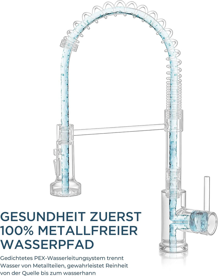 FORIOUS Wasserhahn Küche, Wasserhahn Küche Ausziehbar, 360° Schwenkbar Spiralfeder Spültischarmatur