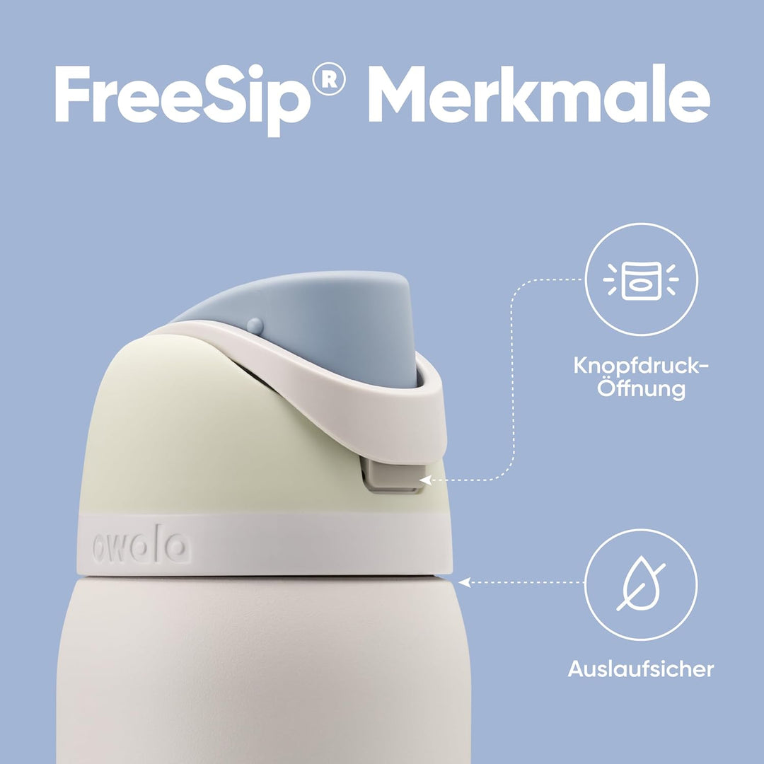 Owala FreeSip Isolierte Edelstahl Trinkflasche mit Strohhalm, 945 ml – BPA-frei, optimal für Sport,