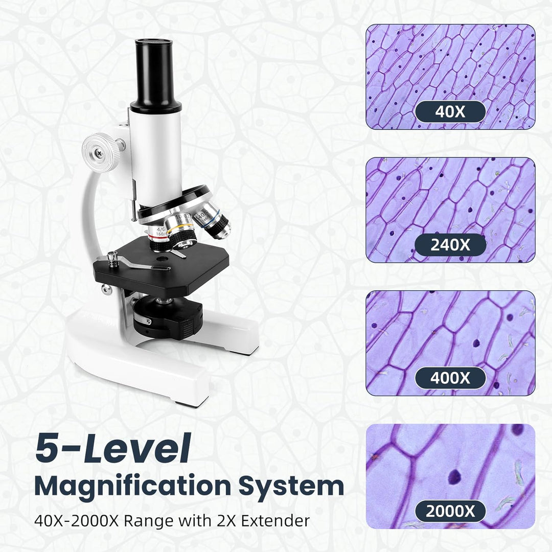 40-2000x Mikroskop, Professionelles Metall-Mikroskop für Erwachsene & Kinder, mit 10x & 25x Okularen