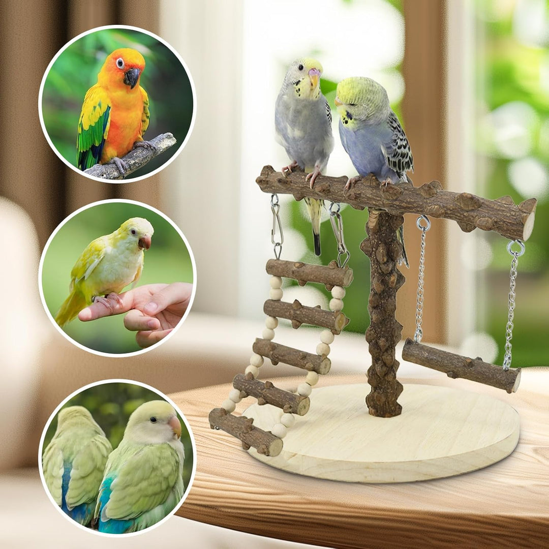 Wellensittich Spielplatz, Vogel Spielplatz Holz mit Spielzeug Leiter Erklimmen Schaukel, Vogel Sitzs