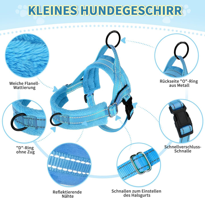 Eyein Hundegeschirr mit Leine für mittelgrosse Kleine Hunde, Weich gepolsterter No-Pull Brustgeschir