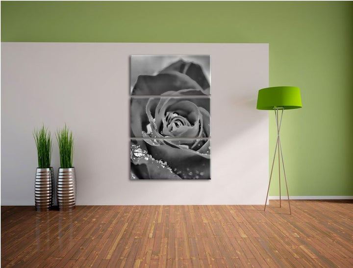 Pixxprint Rose mit Wassertropfen als Leinwandbild/Grösse: 3 Teilig (120x80) cm/Wandbild/Kunstdruck/f