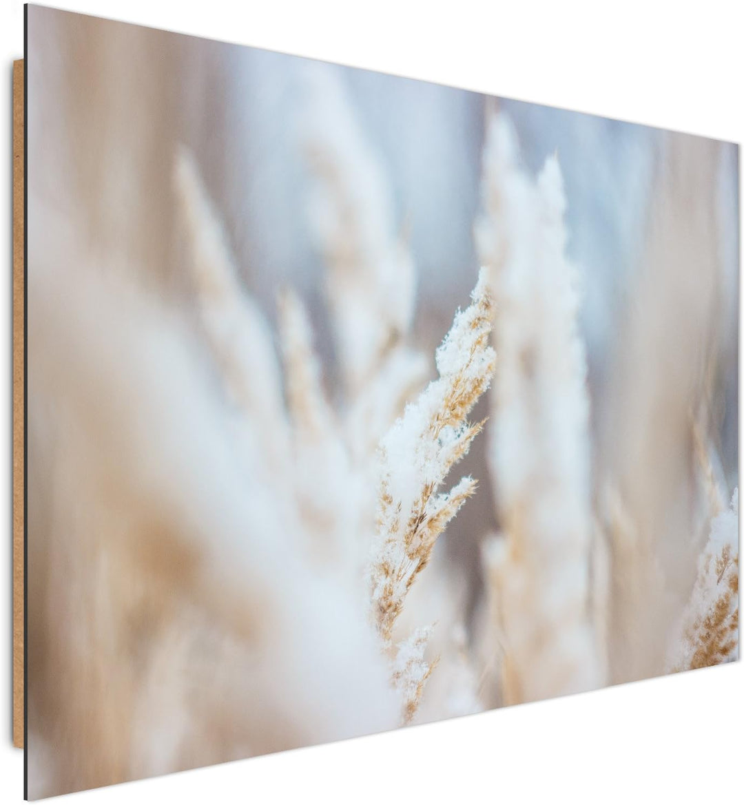Feeby. Wandbilder - 1 Teilig- 60x80 cm - Bilder Kunstdrucke Deko Panel, GRAS, NATUR, WEIss, 60x80 cm