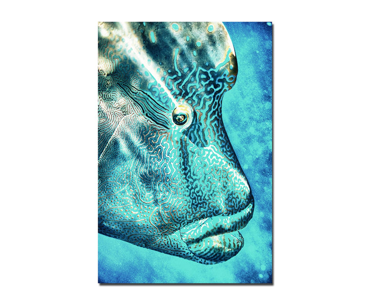 Paul Sinus Art 120x80cm - WANDBILD Napoleon-Lippfisch Korallenfisch - Leinwandbild auf Keilrahmen mo