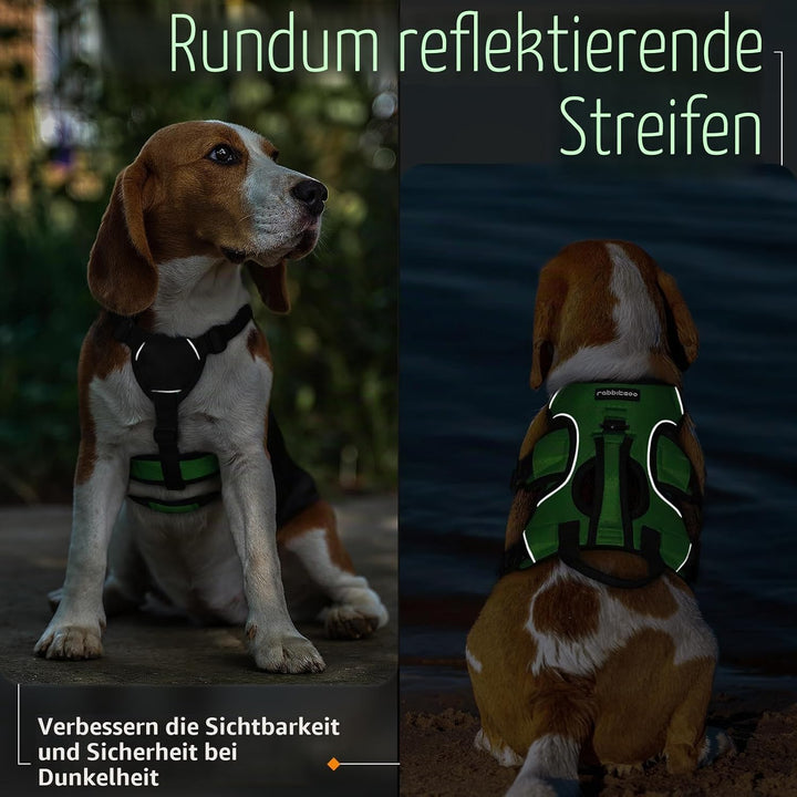 rabbitgoo Ausbruchsichere Hundegeschirr Kleine Hunde mit Griff, Anti Zug Sicherheitsgeschirr Hund At