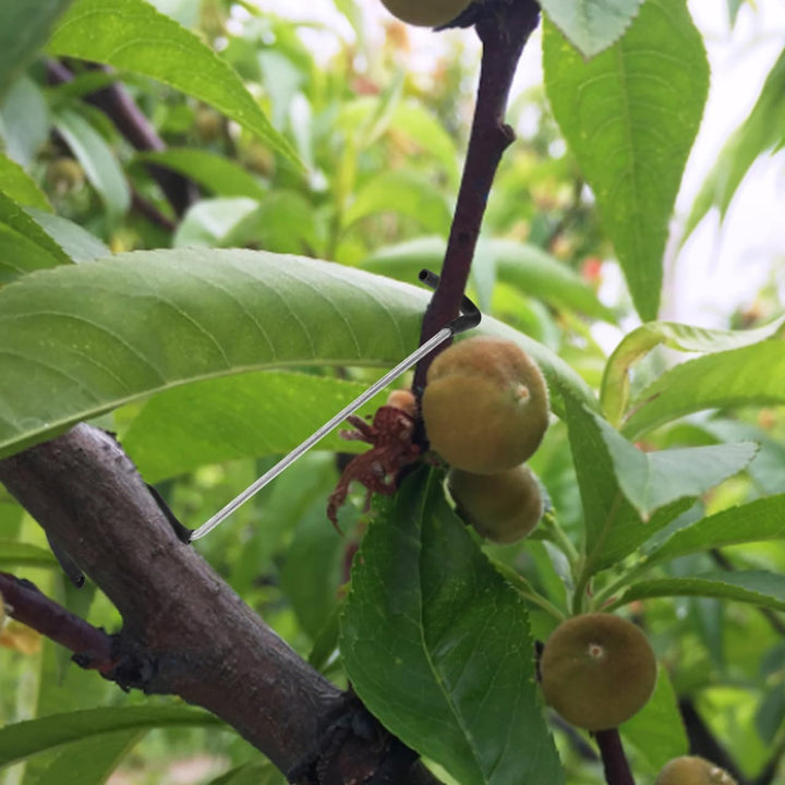 UKCOCO 18T Zweigstreuer: 20 Stück Obstbaumzweige – unterstützt das Wachstum neuer Zweige für Garten,
