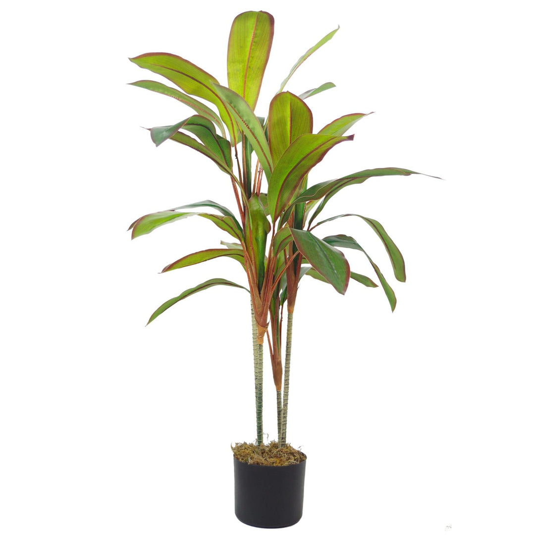 LeafLeafKunstpflanze im Topf, 100 cm, gross, LEAF-7298, 100 cm Grosses Blatt Dracaena, 100 Cm Grosse