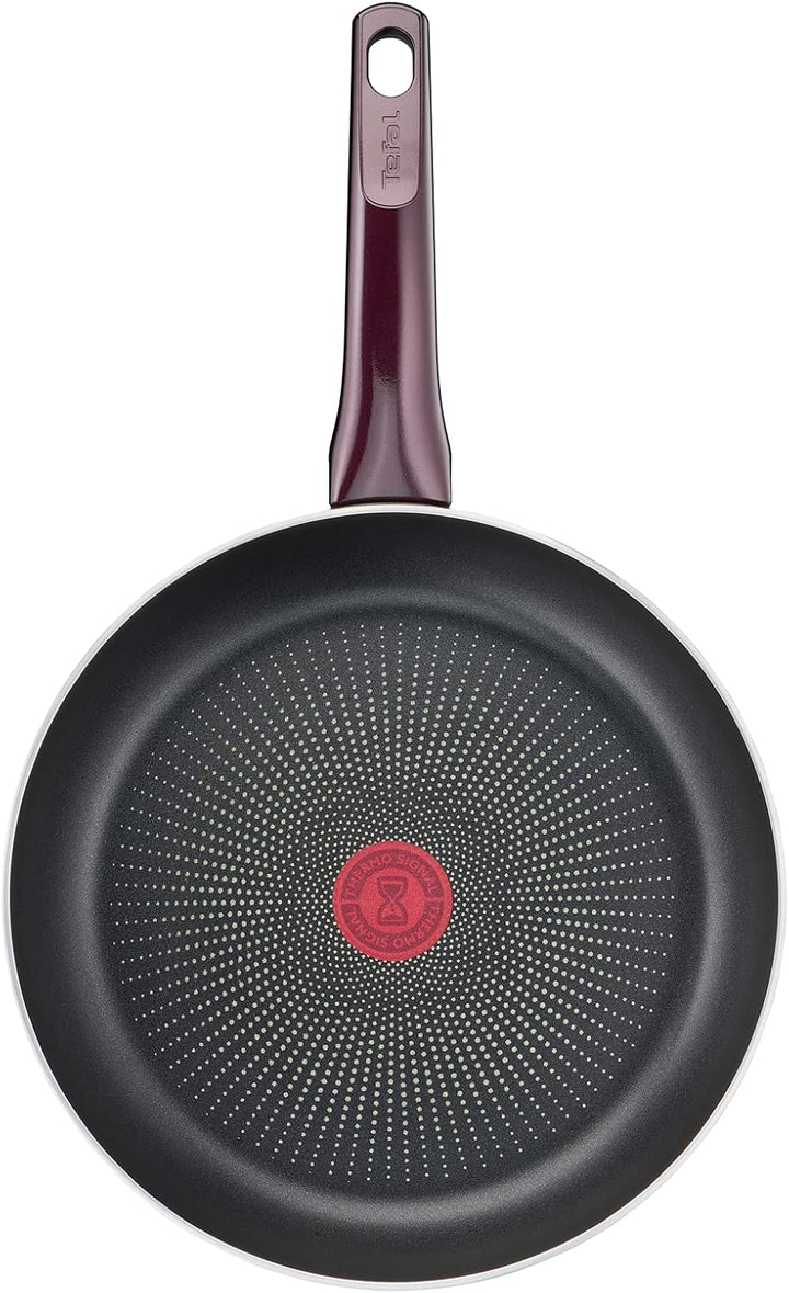 Tefal D52202 Resist Intense Bratpfanne 20 cm | Antihaftversiegelung | Flame Protect | widerstandsfäh