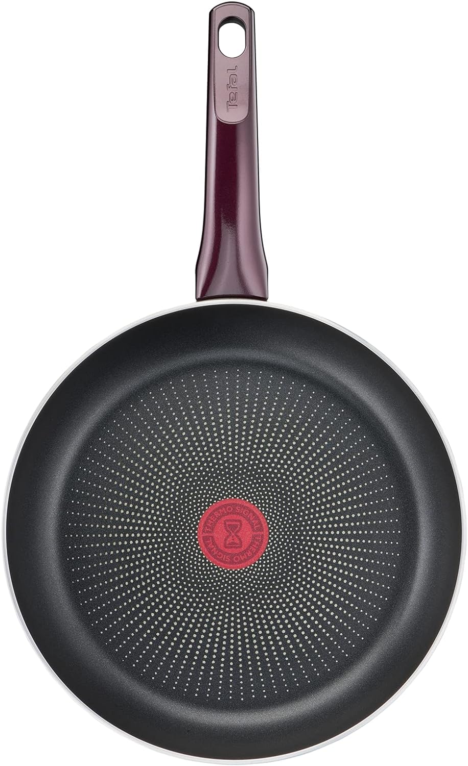 Tefal D52204 Resist Intense Bratpfanne 24 cm | Antihaftversiegelung | Flame Protect | widerstandsfäh