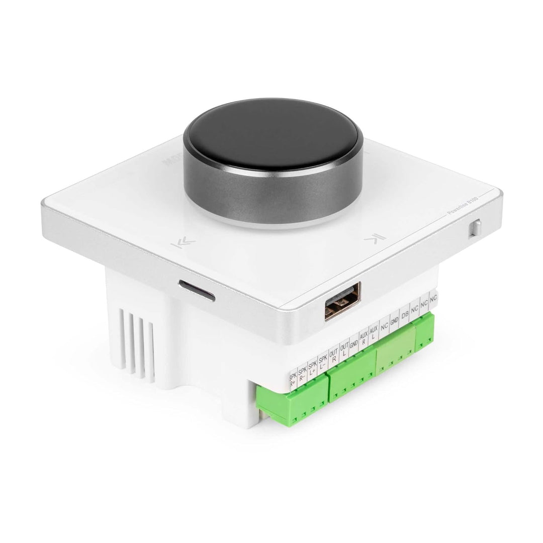 Powerline B100W Wand Stereo Verstärker - Audio Verstärker Bluetooth Unterputz-Einbau System mit 100