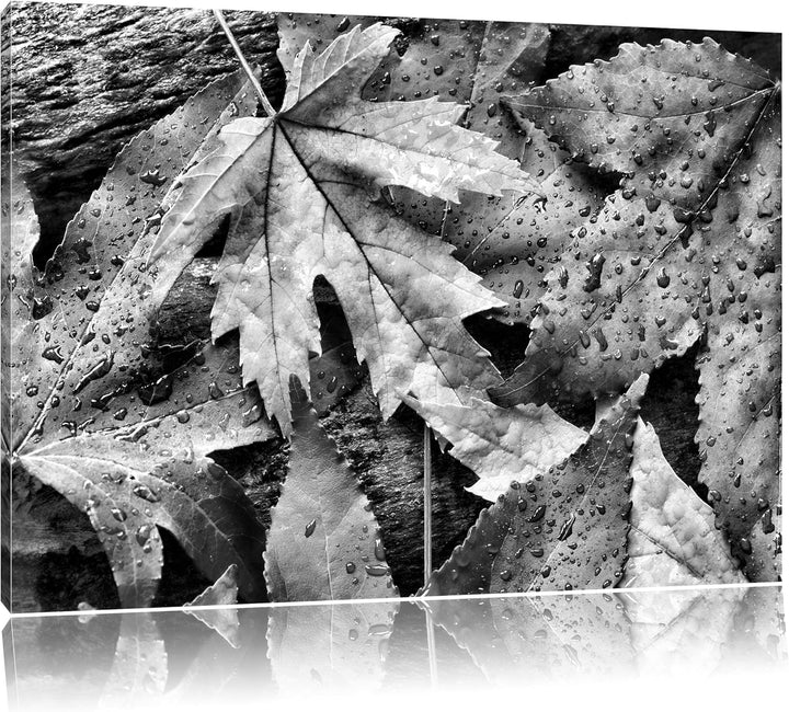 Pixxprint Bunte Herbstblätter / 100x70cm Leinwandbild bespannt auf Holzrahmen/Wandbild Kunstdruck De