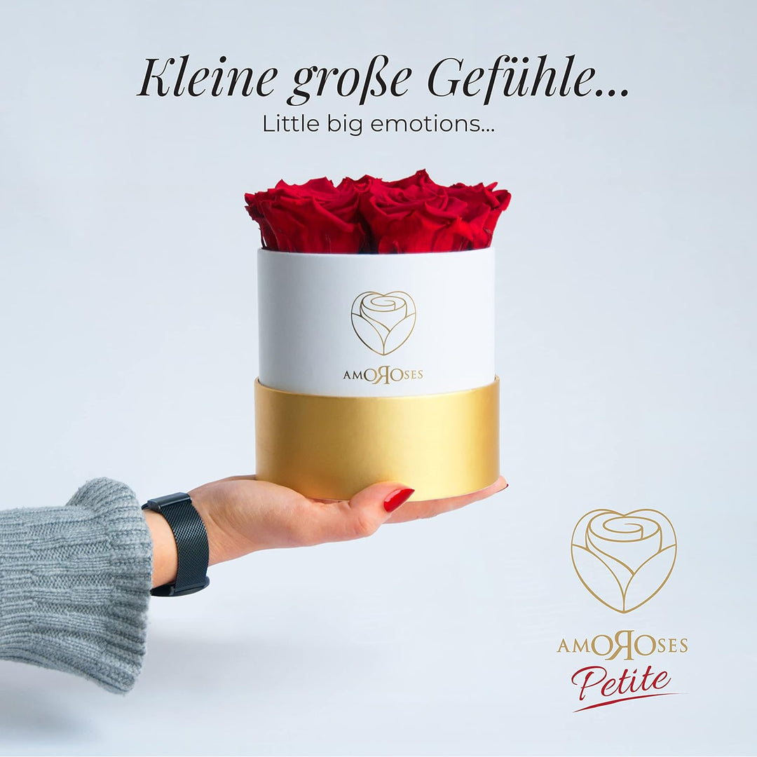 Amoroses Petite - Geschenkbox 5 ewige stabilisierte Rosen - Eleganter Strauss echter Blumen | Gesche