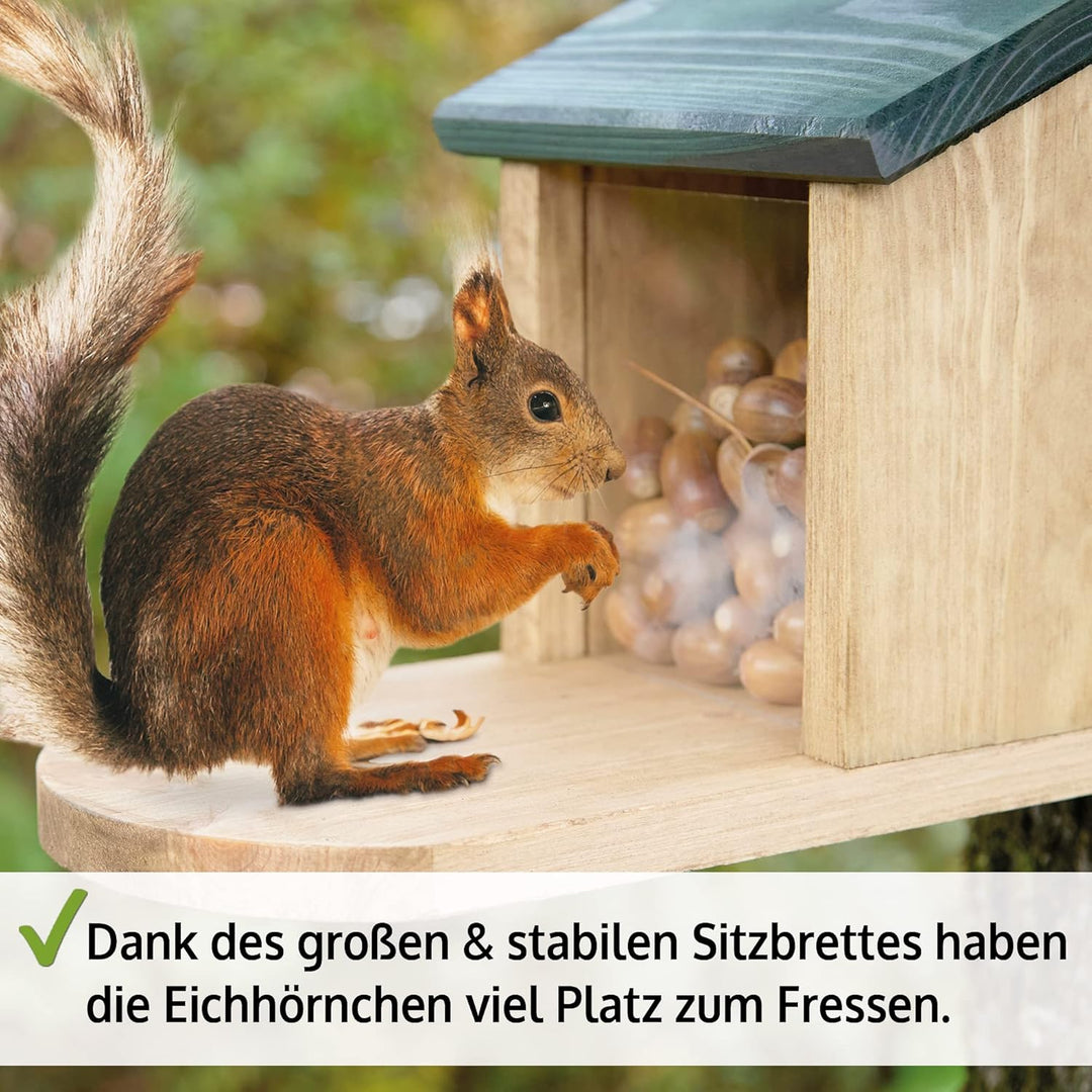 zooprinz wetterfestes Eichhörnchen Futterhaus mit grosser Sitzplattform - aus nachhaltigem Massiv-Ho