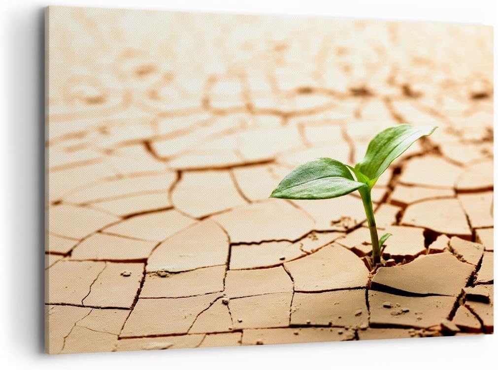 Bilder auf Leinwand 100x70cm Leinwandbild mit Rahmen Wüste Erde Umwelt Gross Wanddeko Bild Schlafzim