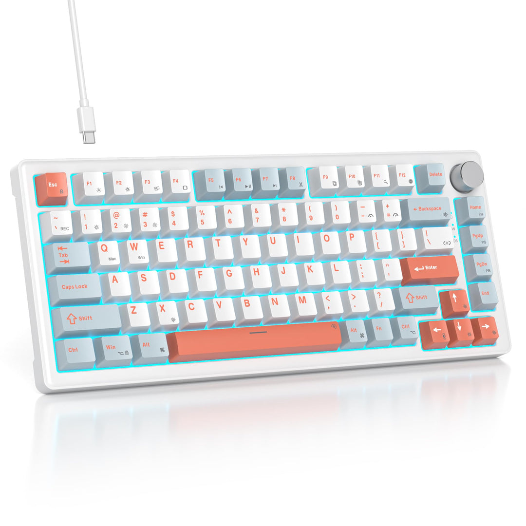 SOLIDEE Verkabelte Mechanische Gaming Tastatur 75 Prozent,hot-swap-fähige Mechanische Tastatur mit G