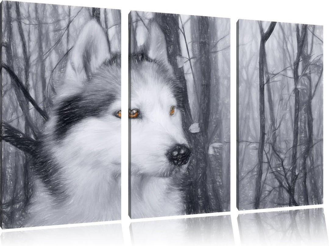 Pixxprint Wachsamer Husky als Leinwandbild/Grösse: 3 Teilig (120x80 cm) cm/Wandbild/Kunstdruck/ferti