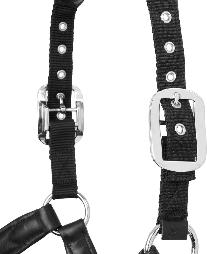 LeMieux Capella Headcollar Halfter Cob Schwarz, Cob Schwarz