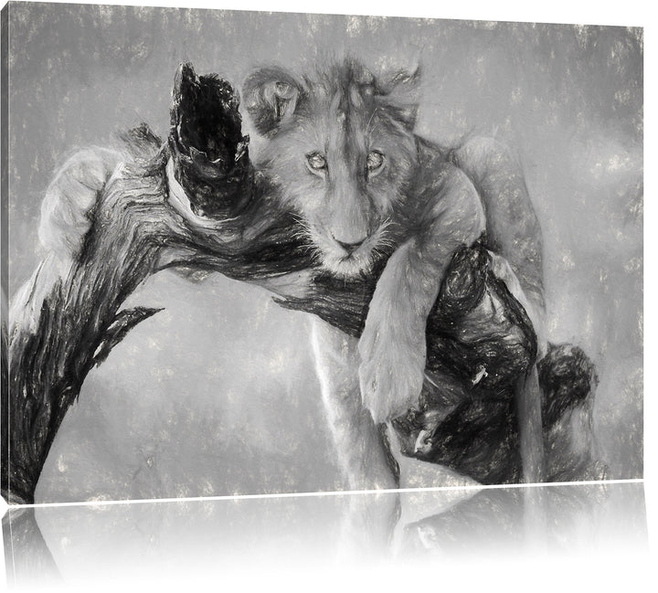 Pixxprint Junger Löwe in der Natur Kunst Kohle Effekt, Format: 100x70 auf Leinwand, XXL riesige Bild