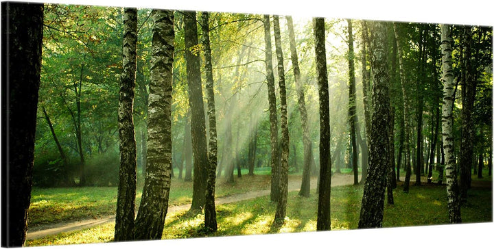 ge Bildet Bild auf Leinwand | Landschaftsbilder - Wald I in 100x40 cm als Panorama Wandbild | Wand-d