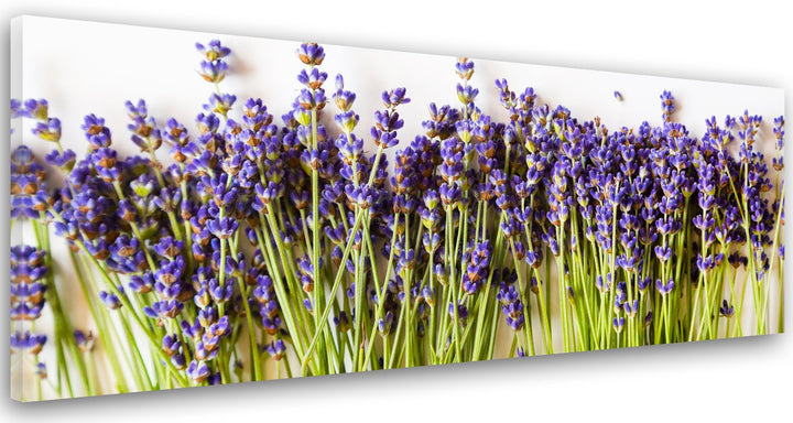 Feeby. Leinwandbild, Bilder, Wand Bild, Wandbilder, Kunstdruck 150x50 cm, LAVENDEL, NATUR, VIOLETT,