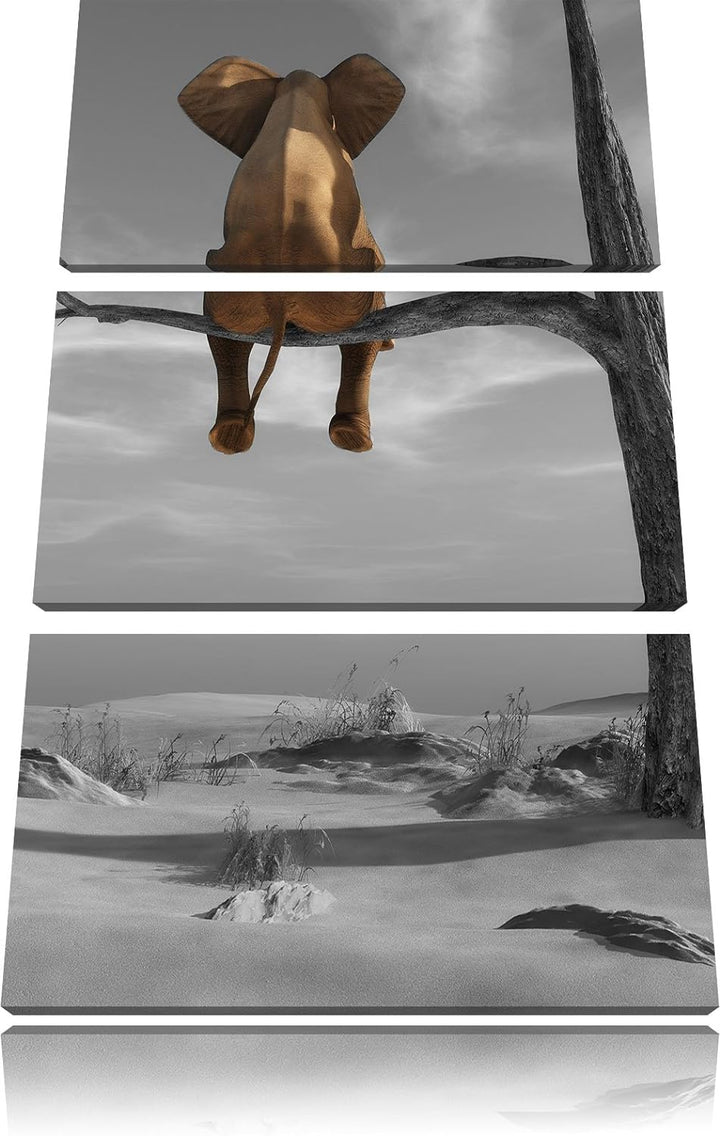 Pixxprint Elefant auf einem AST in der Wüste als Leinwandbild/Grösse: 3 Teilig (120x80) cm/Wandbild/