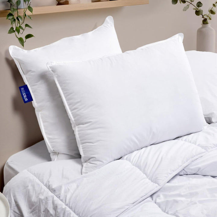 Blau Câlin 2er-Set Kissen mit festem Komfort 'Alaska', super Füllung, Hülle aus 100% Perkal-Baumwoll