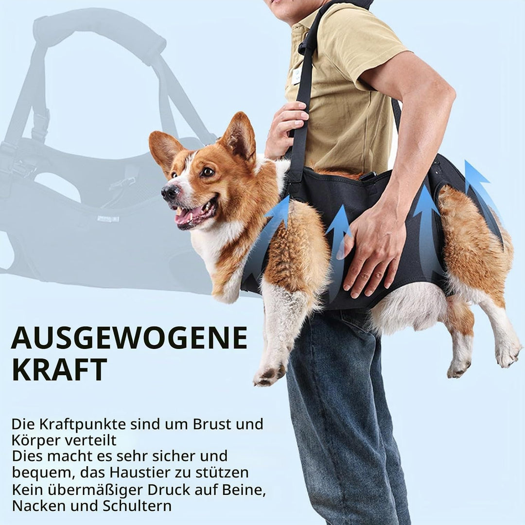 Tragehilfe für Hunde - Verstellbare Gehhilfe, Hebegeschirr für Hinterbeine, Hüftstütze Mit Griffen,