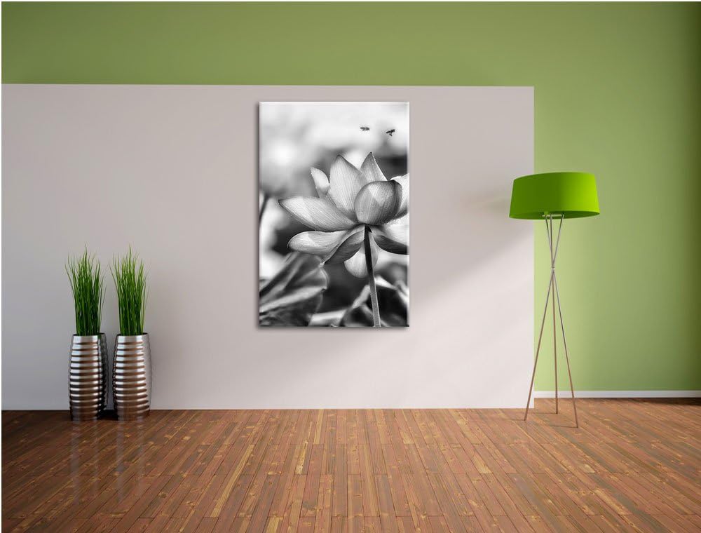 Pixxprint Lotus im Abendlicht / 100x70cm Leinwandbild bespannt auf Holzrahmen/Wandbild Kunstdruck De