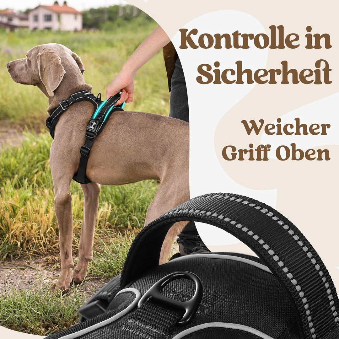 rabbitgoo Hundegeschirr Mittelgrosse Hunde, Hundegeschirr ohne Zug, Verstellbare Geschirr Hund ohne